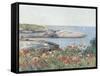 Poppies, Isles of Shoals, America, 1891-Childe Hassam-Framed Stretched Canvas