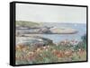 Poppies, Isles of Shoals, America, 1891-Childe Hassam-Framed Stretched Canvas