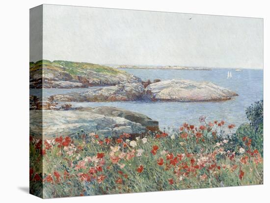 Poppies, Isles of Shoals, America, 1891-Childe Hassam-Stretched Canvas