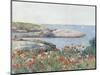 Poppies, Isles of Shoals, America, 1891-Childe Hassam-Mounted Art Print