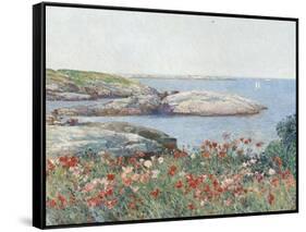 Poppies, Isles of Shoals, America, 1891-Childe Hassam-Framed Stretched Canvas