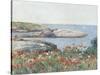 Poppies, Isles of Shoals, America, 1891-Childe Hassam-Stretched Canvas