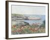 Poppies, Isles of Shoals, America, 1891-Childe Hassam-Framed Art Print