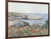 Poppies, Isles of Shoals, America, 1891-Childe Hassam-Framed Art Print