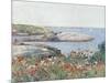 Poppies, Isles of Shoals, America, 1891-Childe Hassam-Mounted Art Print