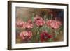 Poppies IV-li bo-Framed Giclee Print