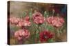 Poppies IV-li bo-Stretched Canvas