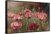 Poppies IV-li bo-Framed Stretched Canvas