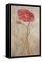 Poppies IV-li bo-Framed Stretched Canvas