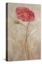 Poppies IV-li bo-Stretched Canvas