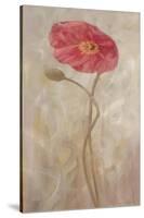 Poppies IV-li bo-Stretched Canvas