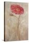 Poppies IV-li bo-Stretched Canvas