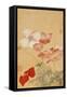 Poppies (Leaf from an Album of Flower Paintings)-Yun Shouping-Framed Stretched Canvas