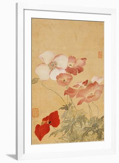 Poppies (Leaf from an Album of Flower Paintings)-Yun Shouping-Framed Giclee Print