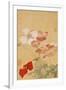 Poppies (Leaf from an Album of Flower Paintings)-Yun Shouping-Framed Giclee Print