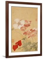 Poppies (Leaf from an Album of Flower Paintings)-Yun Shouping-Framed Giclee Print