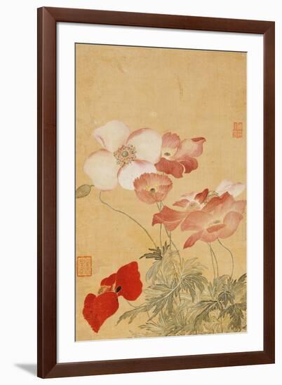 Poppies (Leaf from an Album of Flower Paintings)-Yun Shouping-Framed Giclee Print