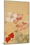 Poppies (Leaf from an Album of Flower Paintings)-Yun Shouping-Mounted Giclee Print