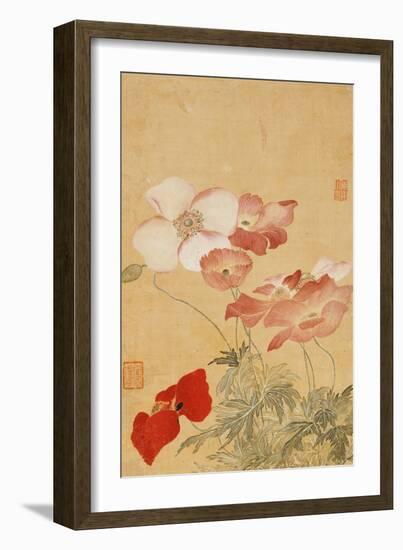 Poppies (Leaf from an Album of Flower Paintings)-Yun Shouping-Framed Premium Giclee Print