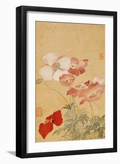 Poppies (Leaf from an Album of Flower Paintings)-Yun Shouping-Framed Premium Giclee Print