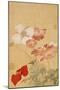 Poppies (Leaf from an Album of Flower Paintings)-Yun Shouping-Mounted Premium Giclee Print
