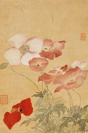 https://imgc.allpostersimages.com/img/posters/poppies-leaf-from-an-album-of-flower-paintings_u-L-Q1I8GZ10.jpg?artPerspective=n