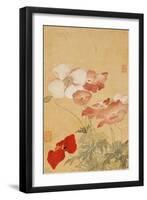 Poppies (Leaf from an Album of Flower Paintings)-Yun Shouping-Framed Giclee Print