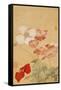 Poppies (Leaf from an Album of Flower Paintings)-Yun Shouping-Framed Stretched Canvas