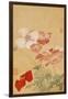 Poppies (Leaf from an Album of Flower Paintings)-Yun Shouping-Framed Giclee Print