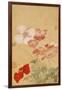 Poppies (Leaf from an Album of Flower Paintings)-Yun Shouping-Framed Giclee Print