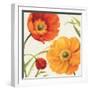 Poppies Melody II-Lisa Audit-Framed Art Print