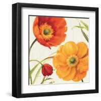 Poppies Melody II-Lisa Audit-Framed Art Print