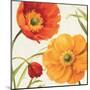 Poppies Melody II-Lisa Audit-Mounted Art Print