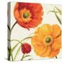 Poppies Melody II-Lisa Audit-Stretched Canvas