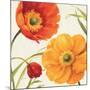 Poppies Melody II-Lisa Audit-Mounted Giclee Print