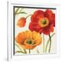 Poppies Melody III-Lisa Audit-Framed Art Print