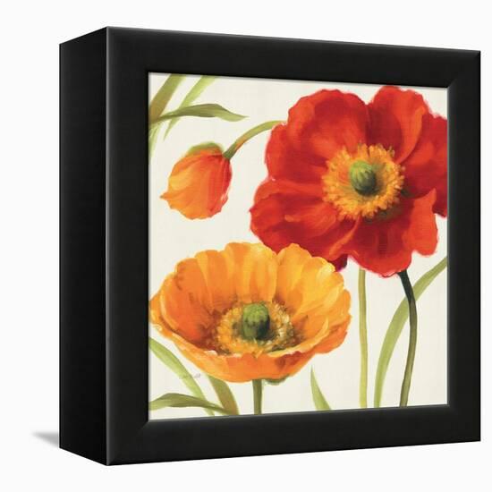 Poppies Melody III-Lisa Audit-Framed Stretched Canvas