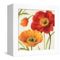 Poppies Melody III-Lisa Audit-Framed Stretched Canvas