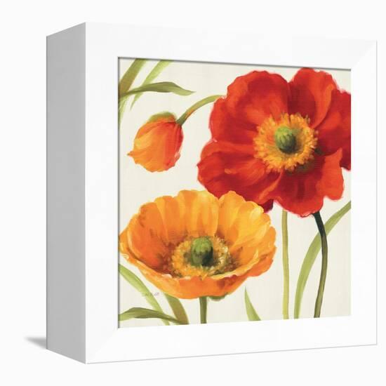 Poppies Melody III-Lisa Audit-Framed Stretched Canvas