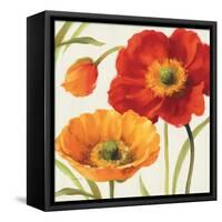 Poppies Melody III-Lisa Audit-Framed Stretched Canvas