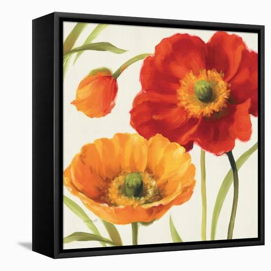 Poppies Melody III-Lisa Audit-Framed Stretched Canvas