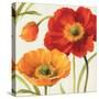 Poppies Melody III-Lisa Audit-Stretched Canvas
