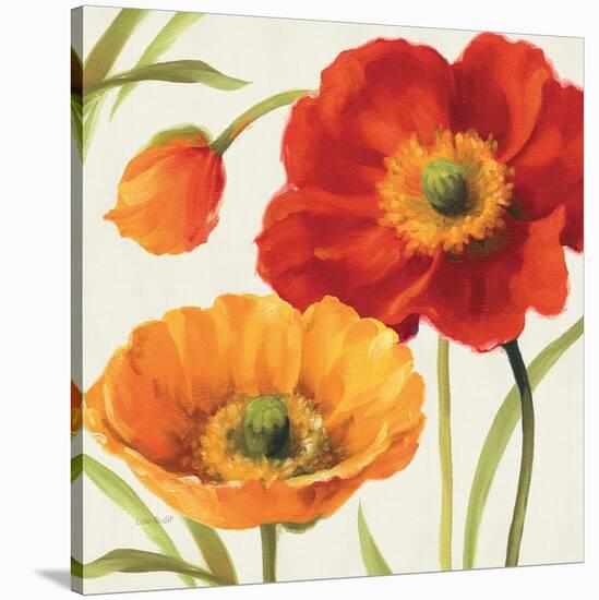 Poppies Melody III-Lisa Audit-Stretched Canvas