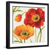 Poppies Melody III-Lisa Audit-Framed Art Print