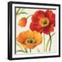 Poppies Melody III-Lisa Audit-Framed Art Print