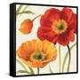 Poppies Melody III-Lisa Audit-Framed Stretched Canvas