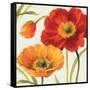 Poppies Melody III-Lisa Audit-Framed Stretched Canvas