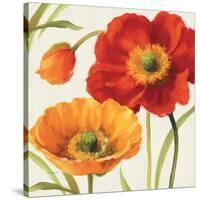 Poppies Melody III-Lisa Audit-Stretched Canvas