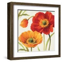 Poppies Melody III-Lisa Audit-Framed Art Print