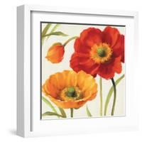 Poppies Melody III-Lisa Audit-Framed Art Print